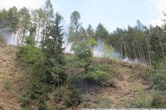 22.9.2016 požár lesa Městečko Trnávka
