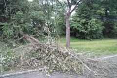 2026_06_01_TP_Jevicko-01