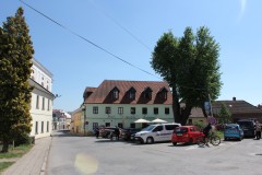 IMG_1977