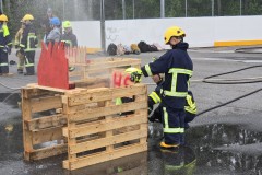 finsko-377