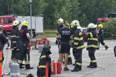 finsko-445