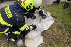 finsko-474