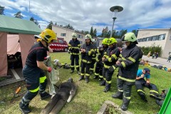 finsko-483