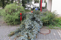 a_k_vitaka_2 (1)