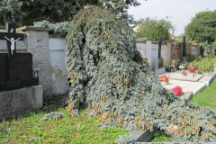 hrbitov (5)
