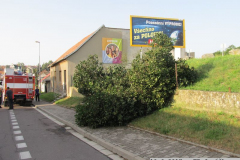 trebovska (1)