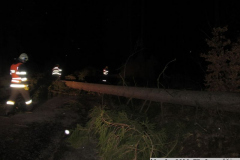 2019_03_11_TP_Jaromerice-05