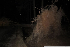 2019_03_11_TP_Jaromerice-07