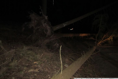 2019_03_11_TP_Jaromerice-09