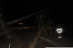 2019_03_11_TP_Jaromerice-10