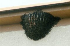 11.7.2006-Technicka-pomoc_1-4-scaled