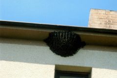 11.7.2006-Technicka-pomoc_2-4-scaled