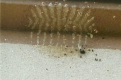 11.7.2006-Technicka-pomoc_4-4-scaled