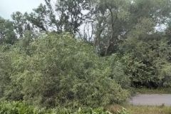 11.7.2024 TP Jevíčko