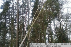 2019_02_13_TP_Jevicko_stromy-02