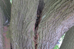 2019_05_13_TP_Jevicko-02