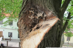 2019_05_13_TP_Jevicko-03