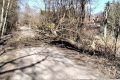 2026_03_14_TP_Z_Arnostov-03