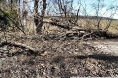 2026_03_14_TP_Z_Arnostov-04