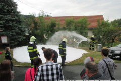 Smolná 2017_13