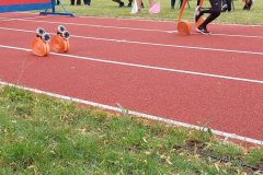 20200815_103031-scaled