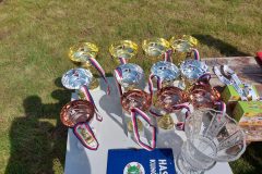 20200815_150740-scaled