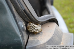 2016_07_16_ukazka_Chornice-07