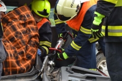 2016_07_16_ukazka_Chornice-23