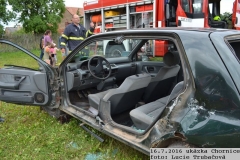 2016_07_16_ukazka_Chornice-27