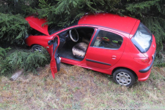 17.12.2019 DN Nectava