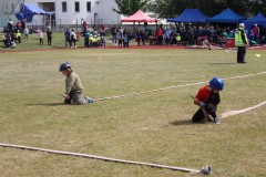 IMG_1718