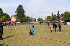IMG_1730