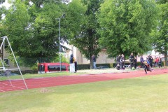 IMG_1838