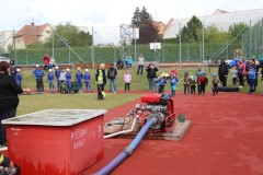IMG_1851