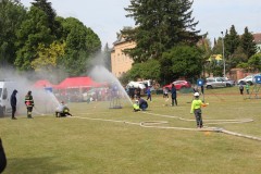 IMG_1917