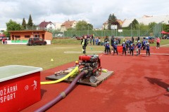 IMG_1940