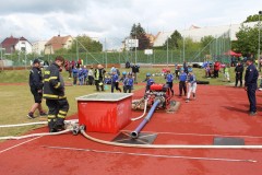 IMG_1971