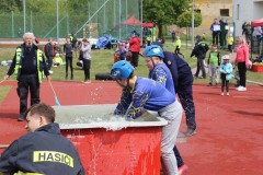 IMG_1981
