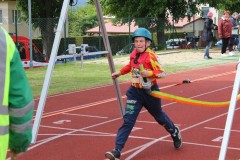 IMG_2012