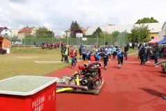 IMG_2019