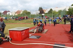 IMG_2047
