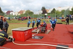 IMG_2050