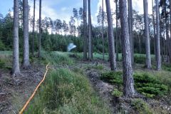 2026_06_17_TC_pozar_Husak-11