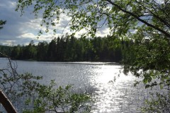 DSC01488