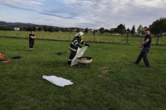 IMG-20260918-WA0021