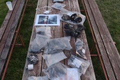 IMG-20260918-WA0028