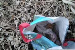 2026_03_19_TP_Jevicko-02