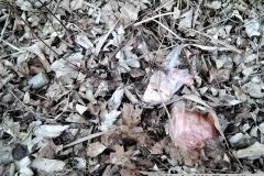 2026_03_19_TP_Jevicko-03