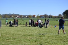 DSC0352