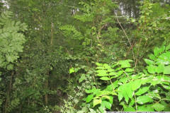 2019_07_20_TP_draty_VN_Jevicko